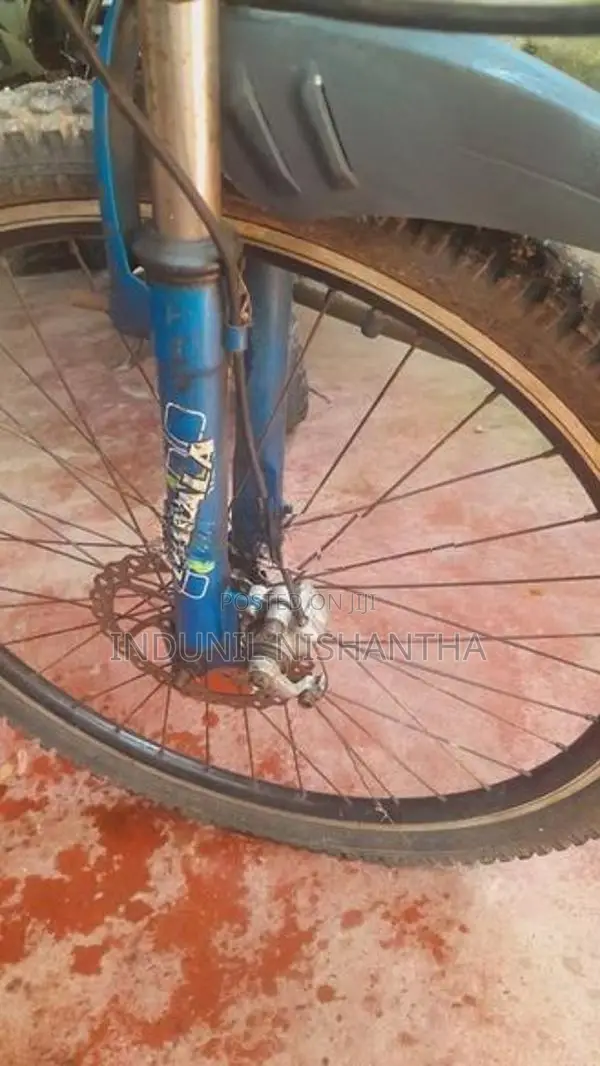 Lumala Bicycle