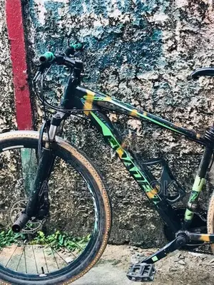 Roadeo Bicycle