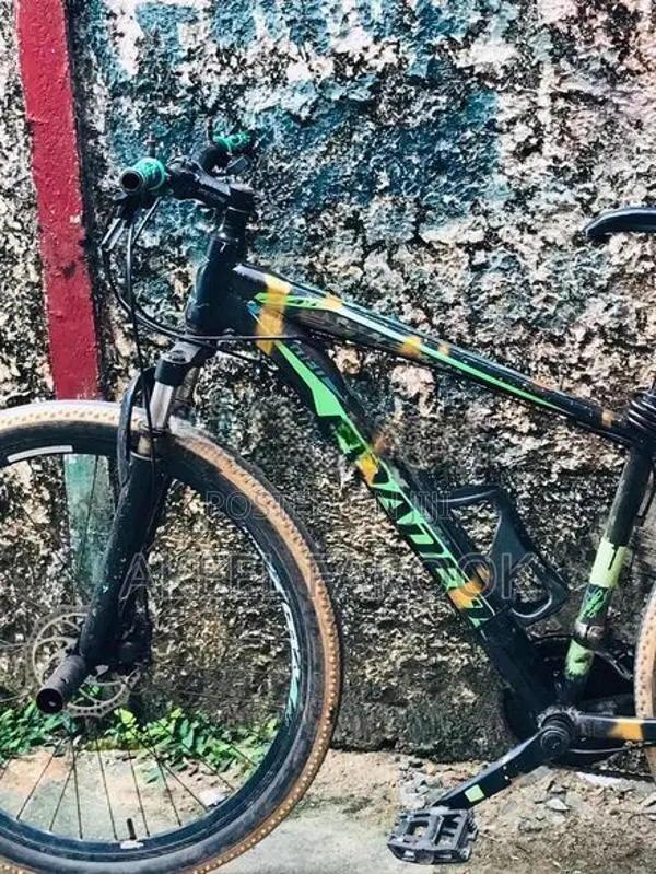 Roadeo Bicycle