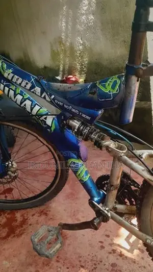 Lumala Bicycle