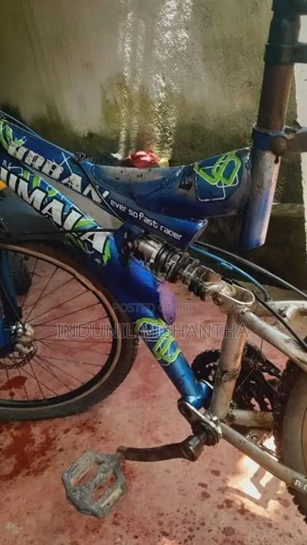 Lumala Bicycle