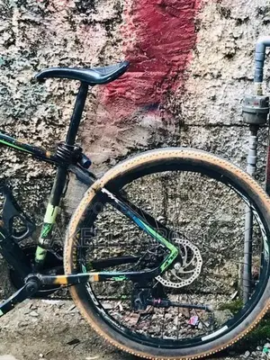 Roadeo Bicycle