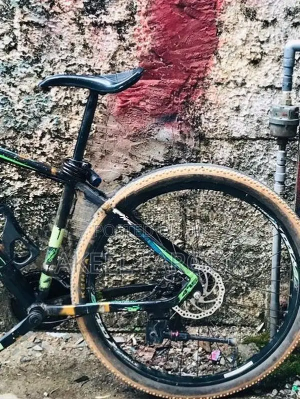 Roadeo Bicycle