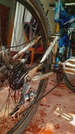 Lumala Bicycle