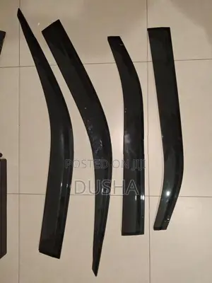 Door Visors