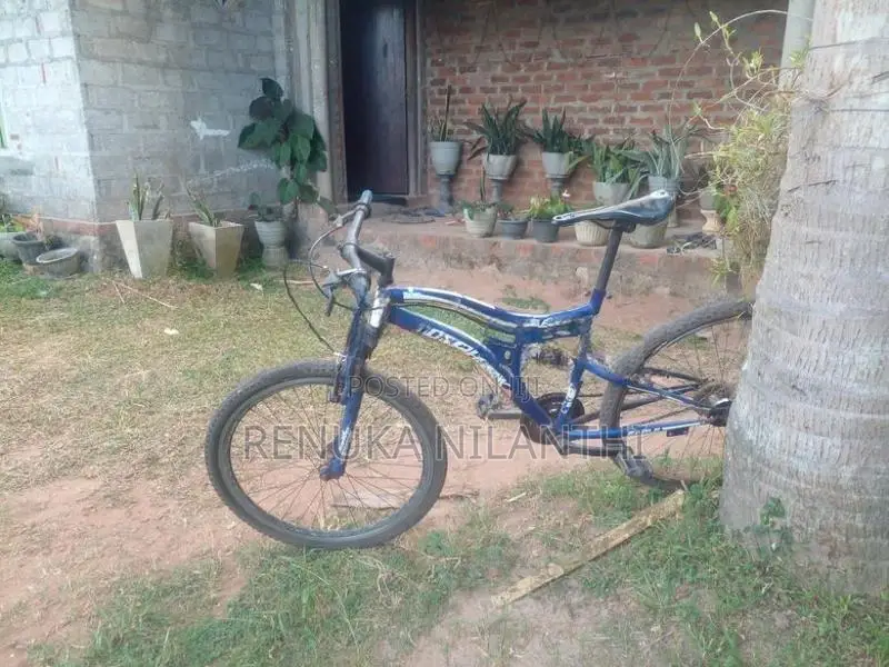 Tomahawk Bicycle