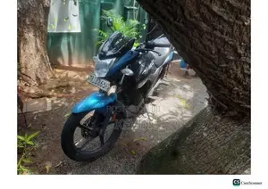 Hero Hunk 150R 2019