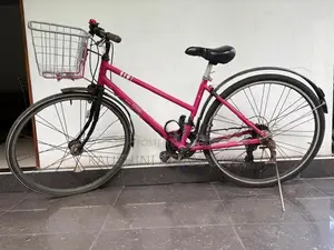 Ladies Bicycle