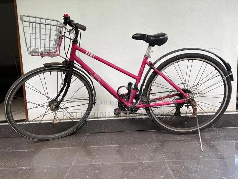 Ladies Bicycle