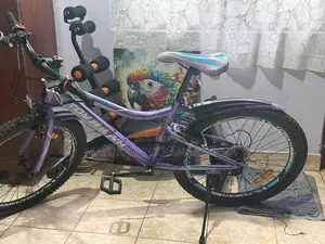 Two Bicycles