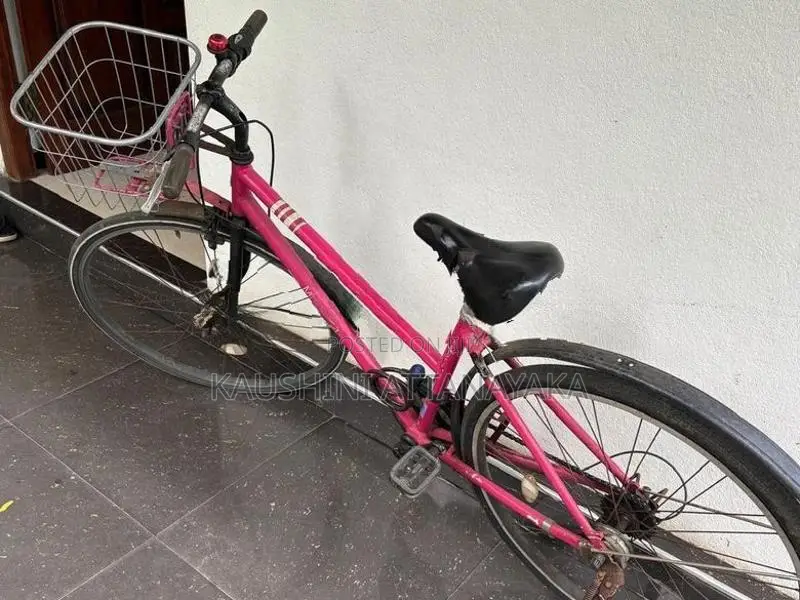 Ladies Bicycle