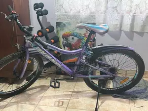 Two Bicycles