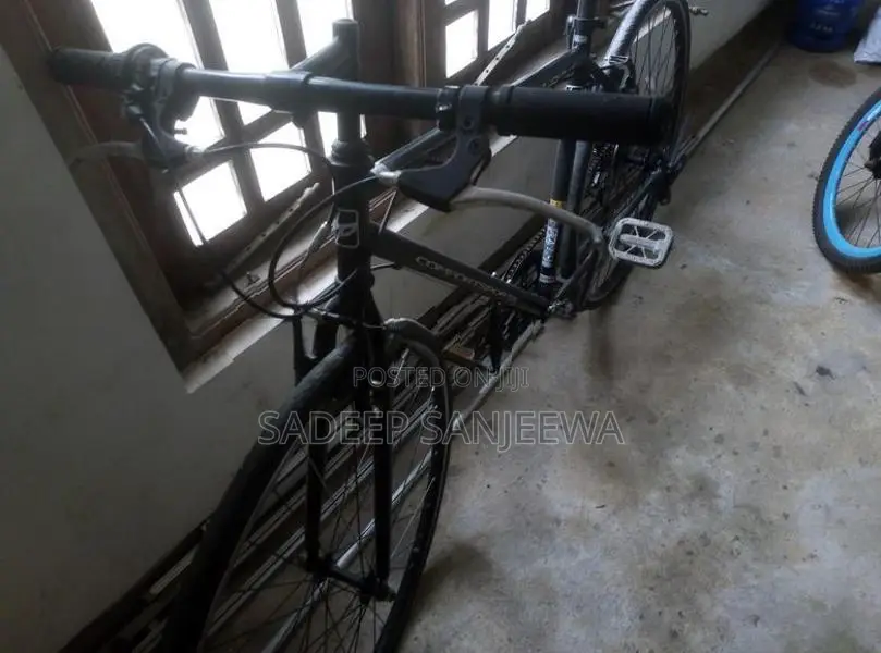 Japan Bike
