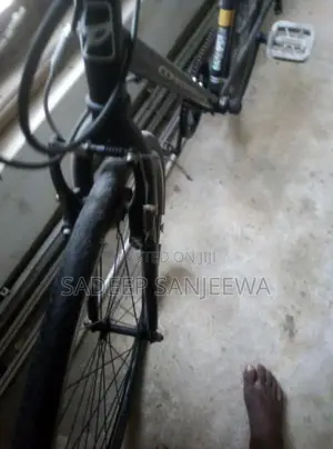 Japan Bike