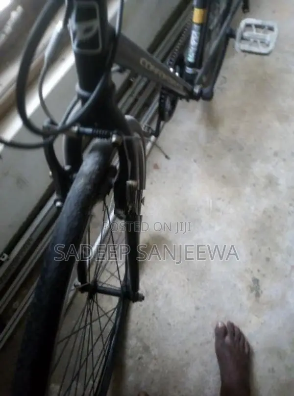 Japan Bike