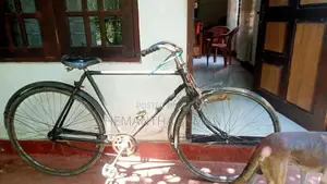 Hunter Bicycle