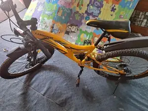 Lumstar Bicycle