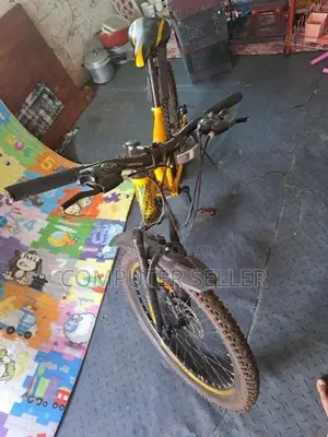 Lumstar Bicycle
