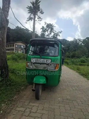 TVS King 2010