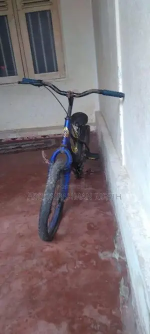 Kenton Bicycle