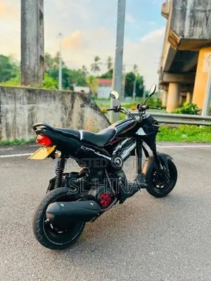 Honda Navi 2017