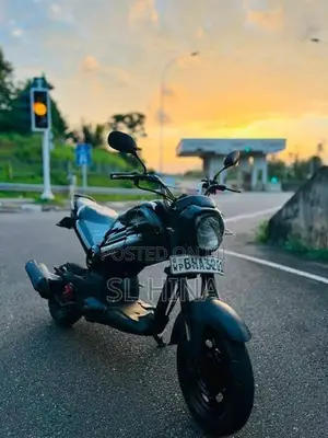 Honda Navi 2017