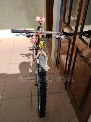 Scout Bicycle