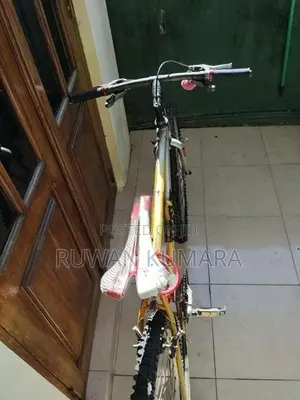 Scout Bicycle