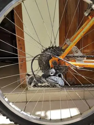 Scout Bicycle