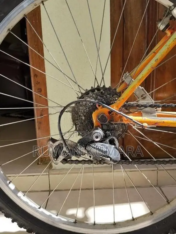 Scout Bicycle