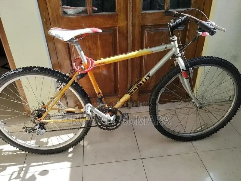 Scout Bicycle