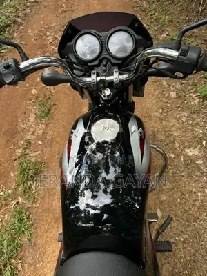 Bajaj CT100 2017