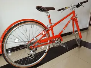 Peugeot Bicycle