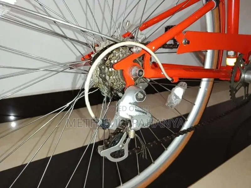 Peugeot Bicycle