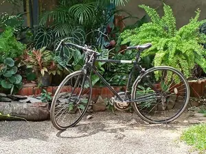 Sports Track Bicycle