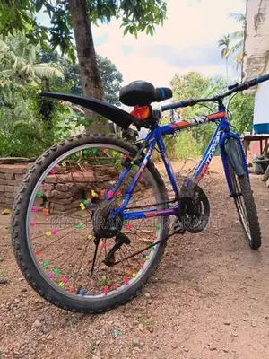 Kenton Bicycle