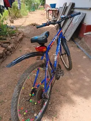Kenton Bicycle