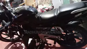 Bajaj Pulsar 180 2010