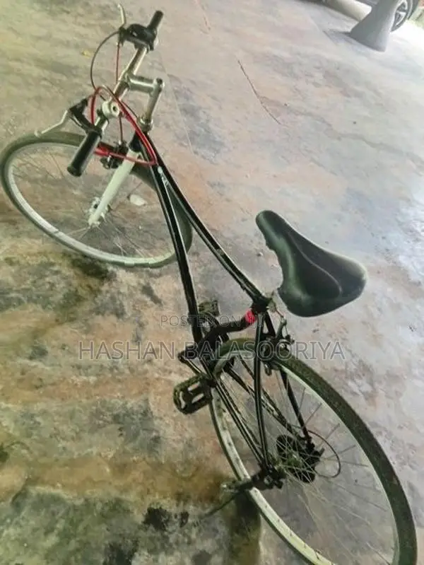 Japanese Bicycle –