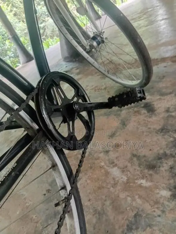 Japanese Bicycle –