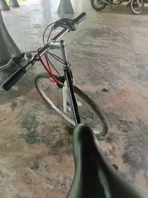 Japanese Bicycle –
