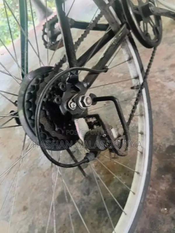 Japanese Bicycle –