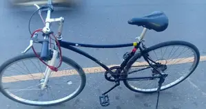 Japanese Bicycle –