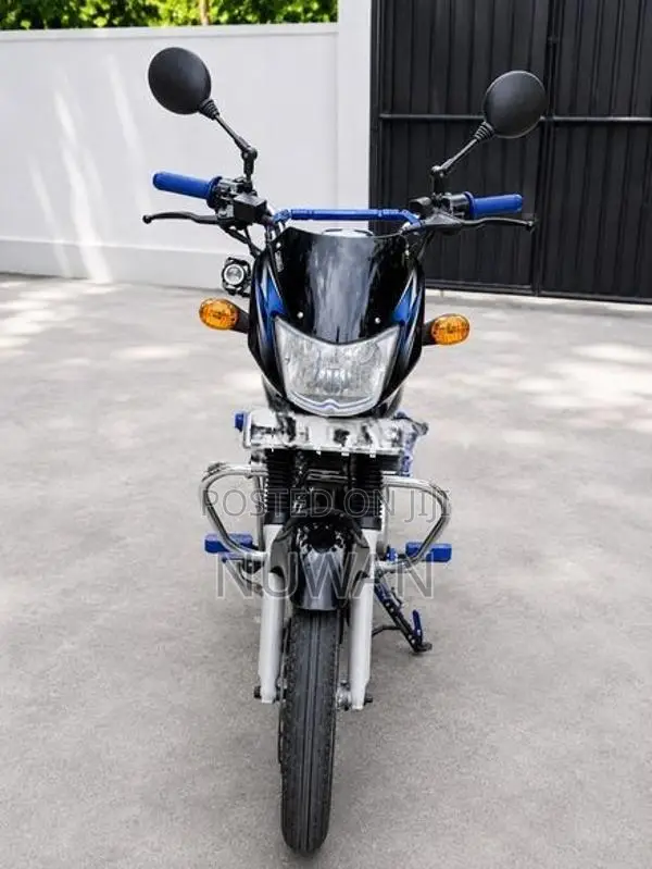 Bajaj CT100 2010