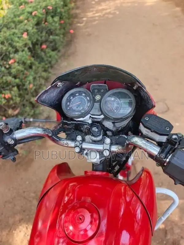 Yamaha Gladiator 2008