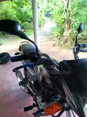Bajaj Platina 100 2017
