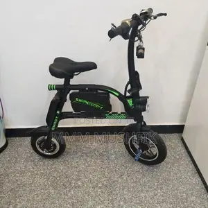 Electric Bike