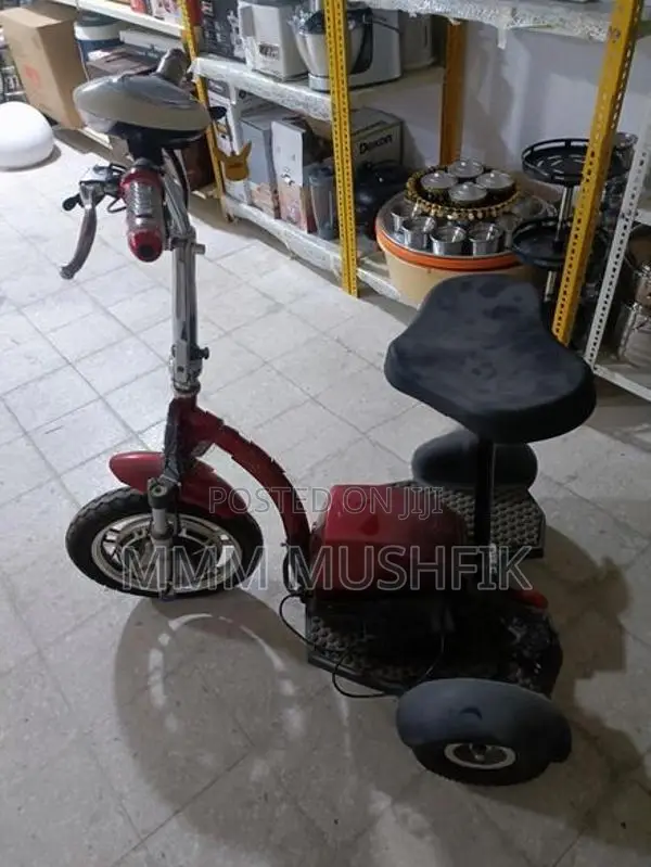Electric Bike