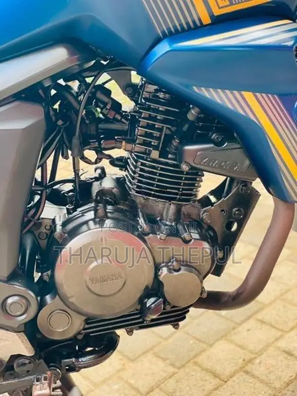 Yamaha FZ V2 Anniversary 2019