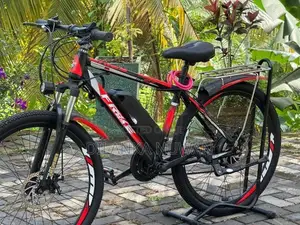 Electric Bicycles